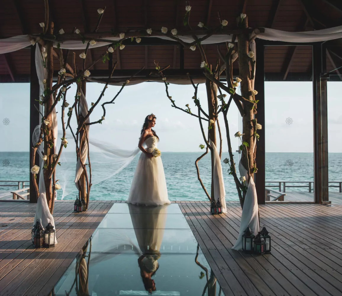 Honeymoon & Wedding